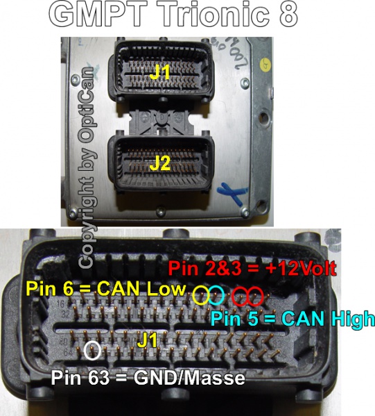 GMPT Tronic 8 (Holden) pinout diagram 1